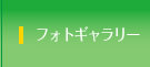 フォトギャラリー